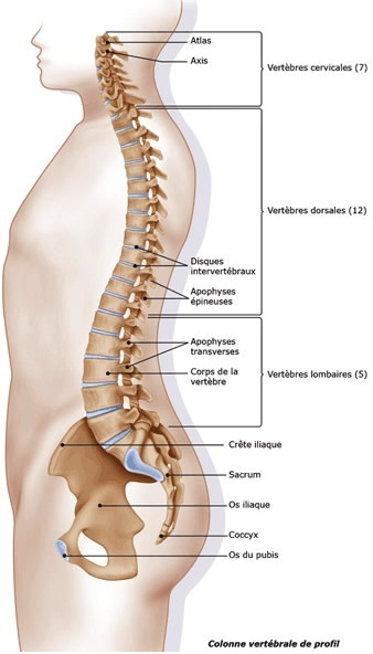 Chirurgie du dos - Opération de la colonne vertébrale Béziers